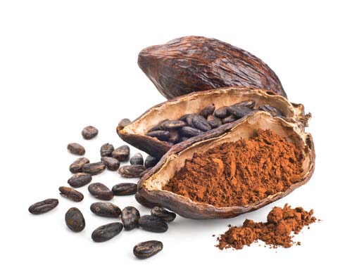 قهوه حامد - خواص دارویی و فواید پودر کاکائو